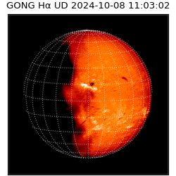 gong - 2024-10-08T11:03:02