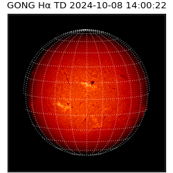 gong - 2024-10-08T14:00:22