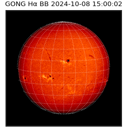 gong - 2024-10-08T15:00:02