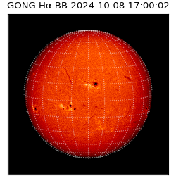 gong - 2024-10-08T17:00:02