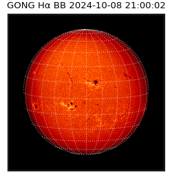 gong - 2024-10-08T21:00:02