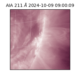 saia - 2024-10-09T09:00:09.626000