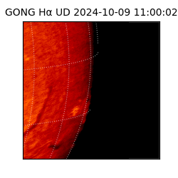 gong - 2024-10-09T11:00:02