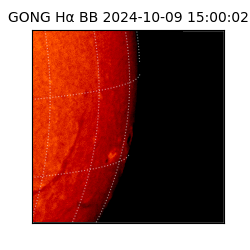 gong - 2024-10-09T15:00:02