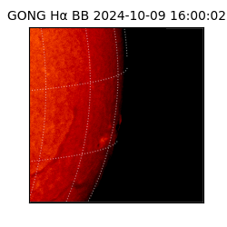 gong - 2024-10-09T16:00:02