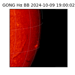 gong - 2024-10-09T19:00:02