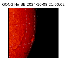 gong - 2024-10-09T21:00:02