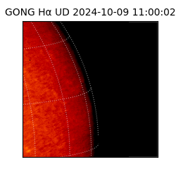 gong - 2024-10-09T11:00:02