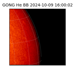 gong - 2024-10-09T16:00:02