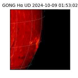 gong - 2024-10-09T01:53:02