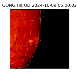 gong - 2024-10-09T05:00:02