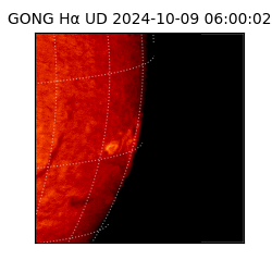 gong - 2024-10-09T06:00:02