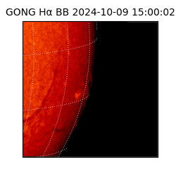 gong - 2024-10-09T15:00:02