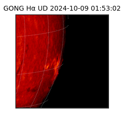 gong - 2024-10-09T01:53:02