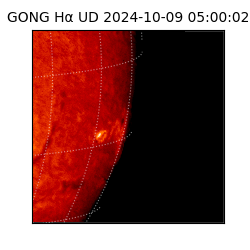 gong - 2024-10-09T05:00:02