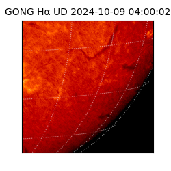 gong - 2024-10-09T04:00:02