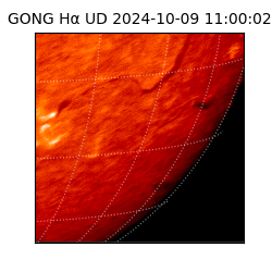 gong - 2024-10-09T11:00:02