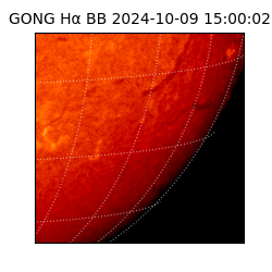 gong - 2024-10-09T15:00:02