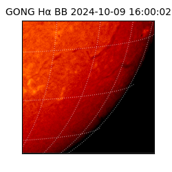 gong - 2024-10-09T16:00:02