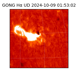 gong - 2024-10-09T01:53:02