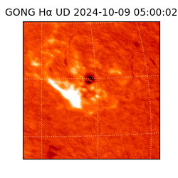 gong - 2024-10-09T05:00:02