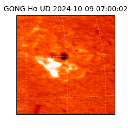 gong - 2024-10-09T07:00:02