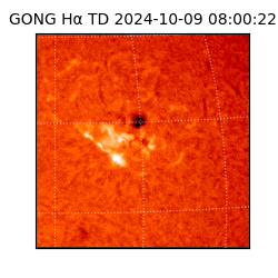 gong - 2024-10-09T08:00:22