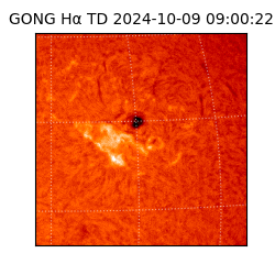 gong - 2024-10-09T09:00:22