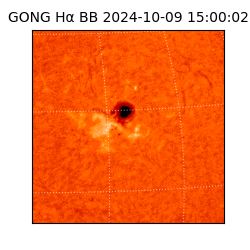 gong - 2024-10-09T15:00:02