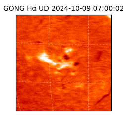 gong - 2024-10-09T07:00:02