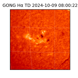 gong - 2024-10-09T08:00:22