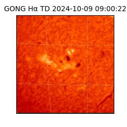 gong - 2024-10-09T09:00:22