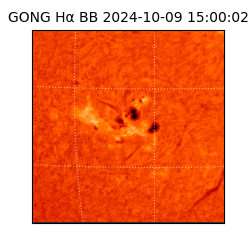 gong - 2024-10-09T15:00:02