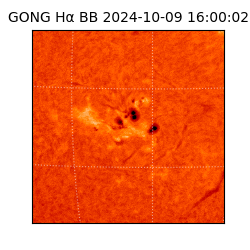 gong - 2024-10-09T16:00:02