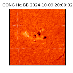 gong - 2024-10-09T20:00:02