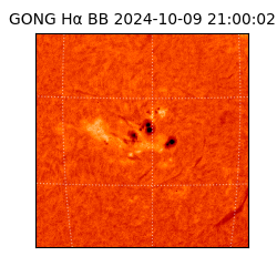 gong - 2024-10-09T21:00:02