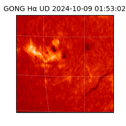 gong - 2024-10-09T01:53:02