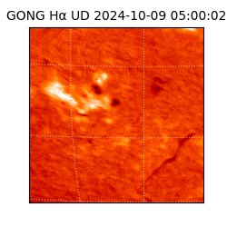 gong - 2024-10-09T05:00:02