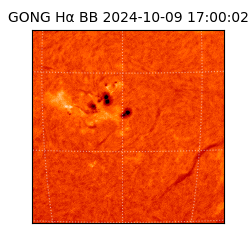 gong - 2024-10-09T17:00:02