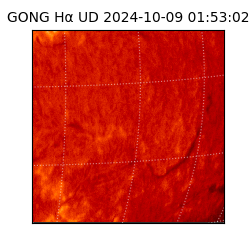 gong - 2024-10-09T01:53:02