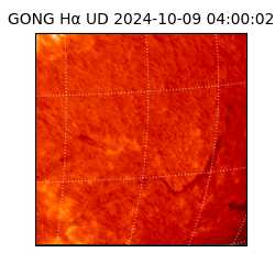 gong - 2024-10-09T04:00:02