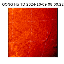 gong - 2024-10-09T08:00:22
