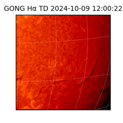 gong - 2024-10-09T12:00:22