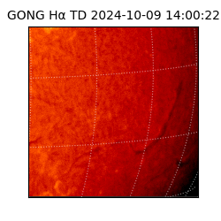 gong - 2024-10-09T14:00:22