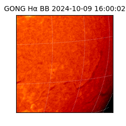 gong - 2024-10-09T16:00:02