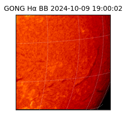 gong - 2024-10-09T19:00:02