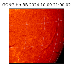 gong - 2024-10-09T21:00:02