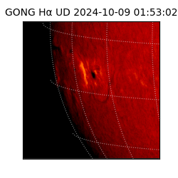 gong - 2024-10-09T01:53:02