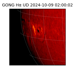 gong - 2024-10-09T02:00:02