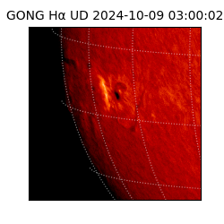 gong - 2024-10-09T03:00:02